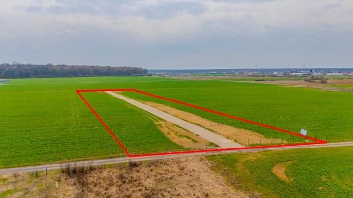 Oportunitate- Padurea Snagov-  9944 mp. - Poză 2