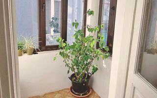 Zero comision, 77mp birou in vila Parc Carol - Olimpului, 11min metrou - Poză 5