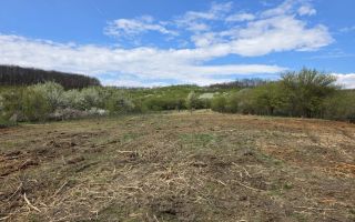 De vânzare teren intravilan – Bârsau, jud. Hunedoara - Poză 7