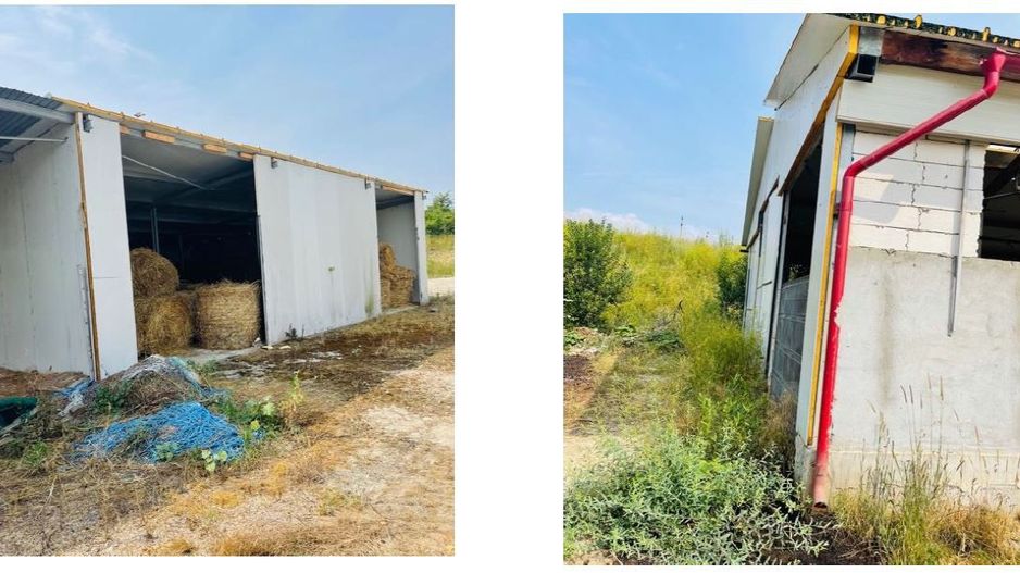 Spatiu Industrial Lechinta - Poză 5