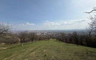 OPORTUNITATE !Teren 1 Hectar Strada Nucului -PRIVELISTE PANORAMICA - Poză 2