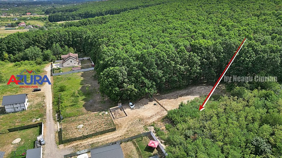AZURA Imobiliare - Vanzare teren Hintesti, langa padure, 300m din DN - Poză 24
