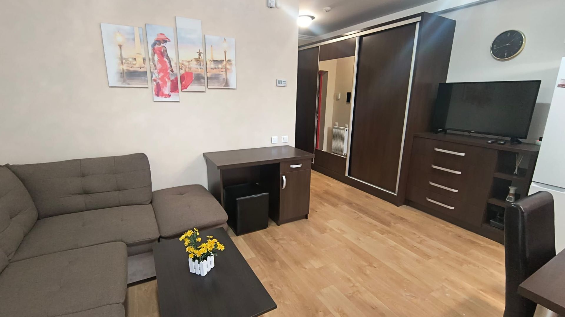 Apartament ARED cu 1 camera, St. O. Iosif, Oradea, 300 euro/luna - Poză 4