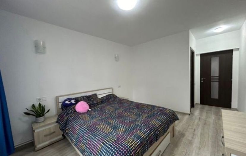 APARTAMENT 4 CAMERE | PIATA GORJULUI - Poză 2