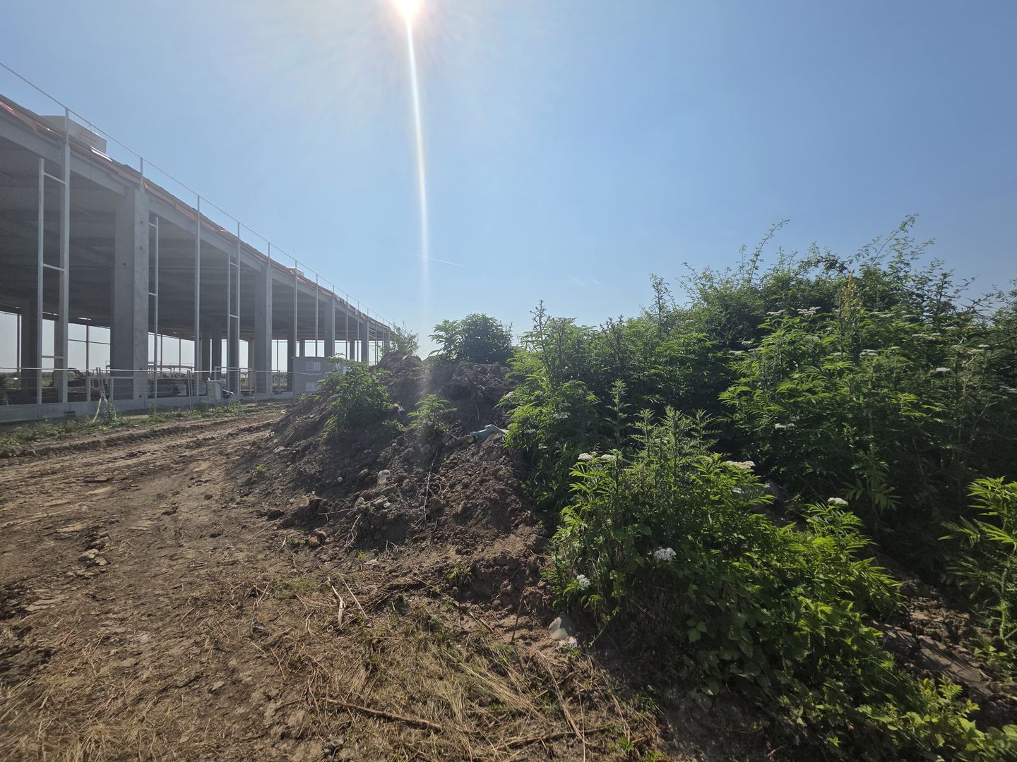 Teren pentru Dezvoltare Logistică – 18.000 mp | Tunari - Comopolis - Poză 2