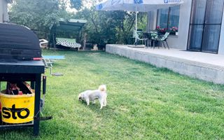 Casă de vânzare – 6 camere P+M, Haieu - Poză 21
