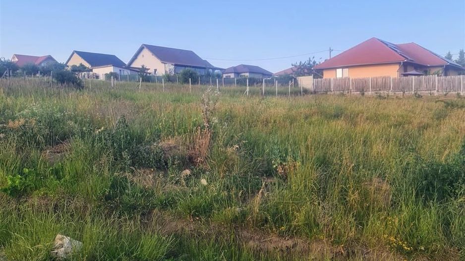 Teren intravilan Saldabagiu de Munte 1100m - Poză 4