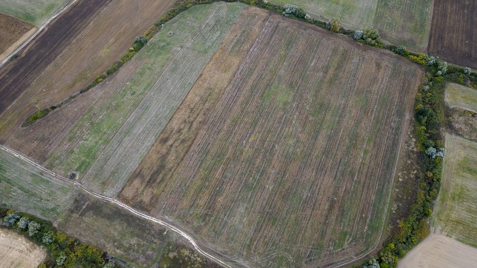 Teren agricol de 34.500mp în Albina, Județul Timiș - Poză 5