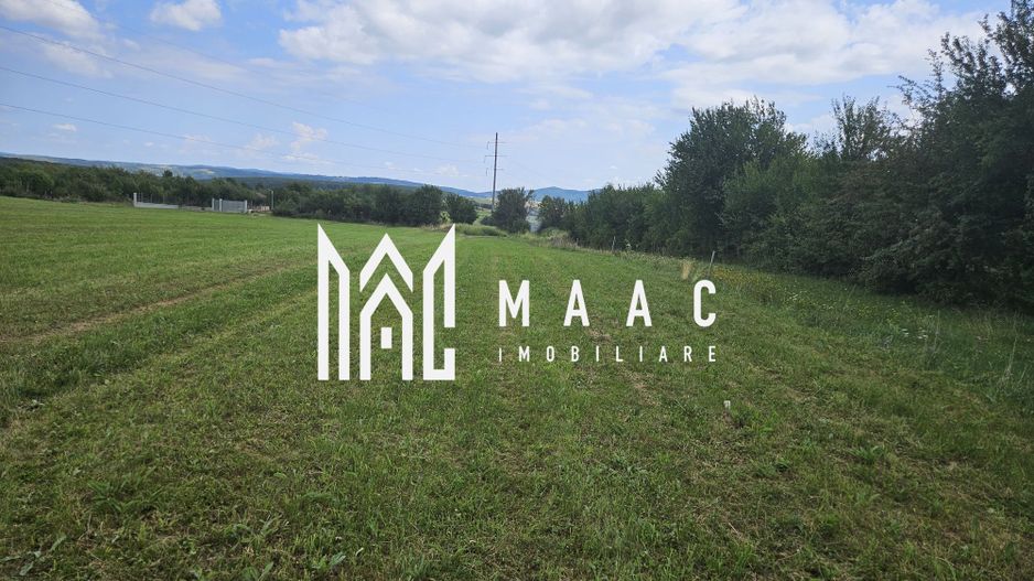 Teren | Extravilan | 3404 MP | Sadu | Oportunitate Investiții - Poză 5