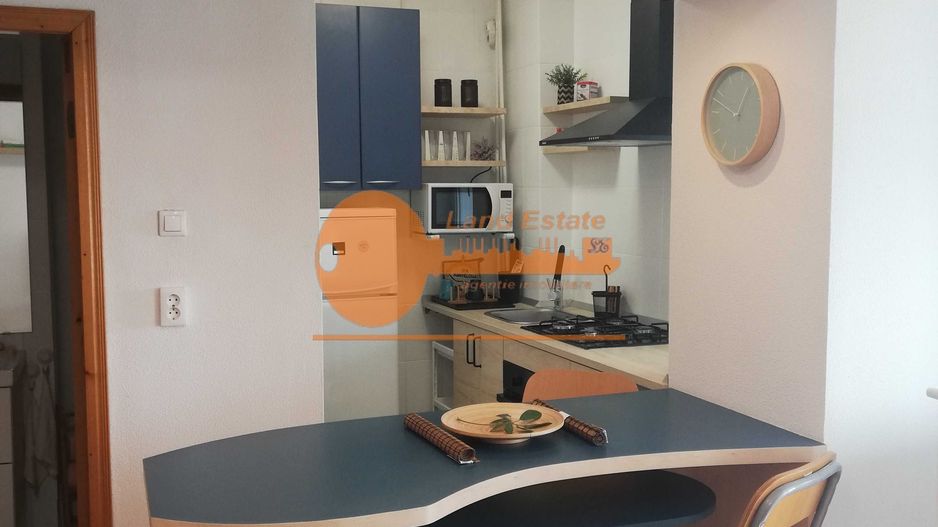 Garsoniera Victoriei-Titulescu ( vedere spate ) - Poză 6