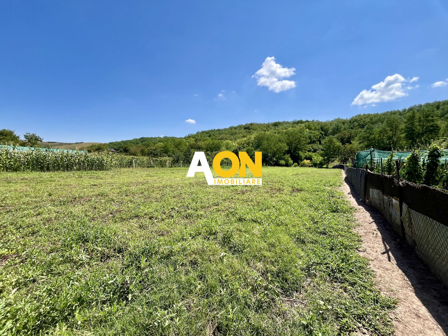 Teren Împrejmuit, 3514mp, Asfalt, Ciugud - Poză 1