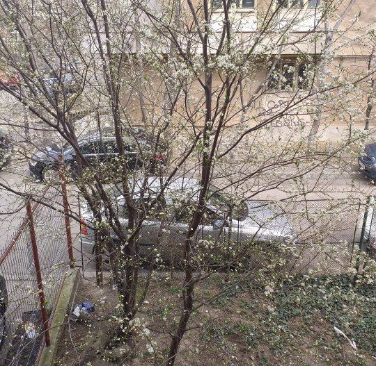 9 camere, Bd. Ferdinand, langa metrou Iancului - Poză 7