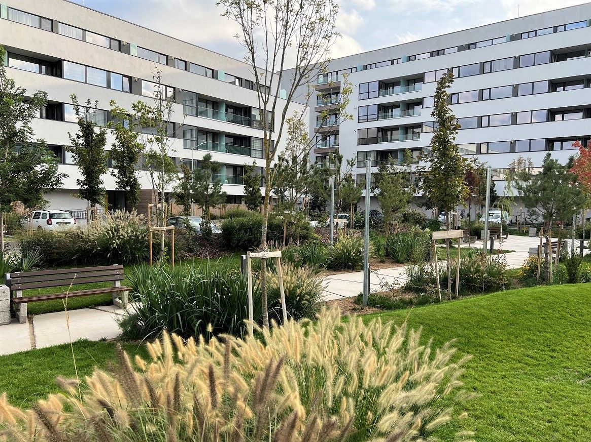 Apartament Studio | Gradina |  Faza 3 - Poză 8