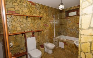 Clădire modernă cu spațiu multifuncțional de închiriat în Jucu de Mijl - Poză 19