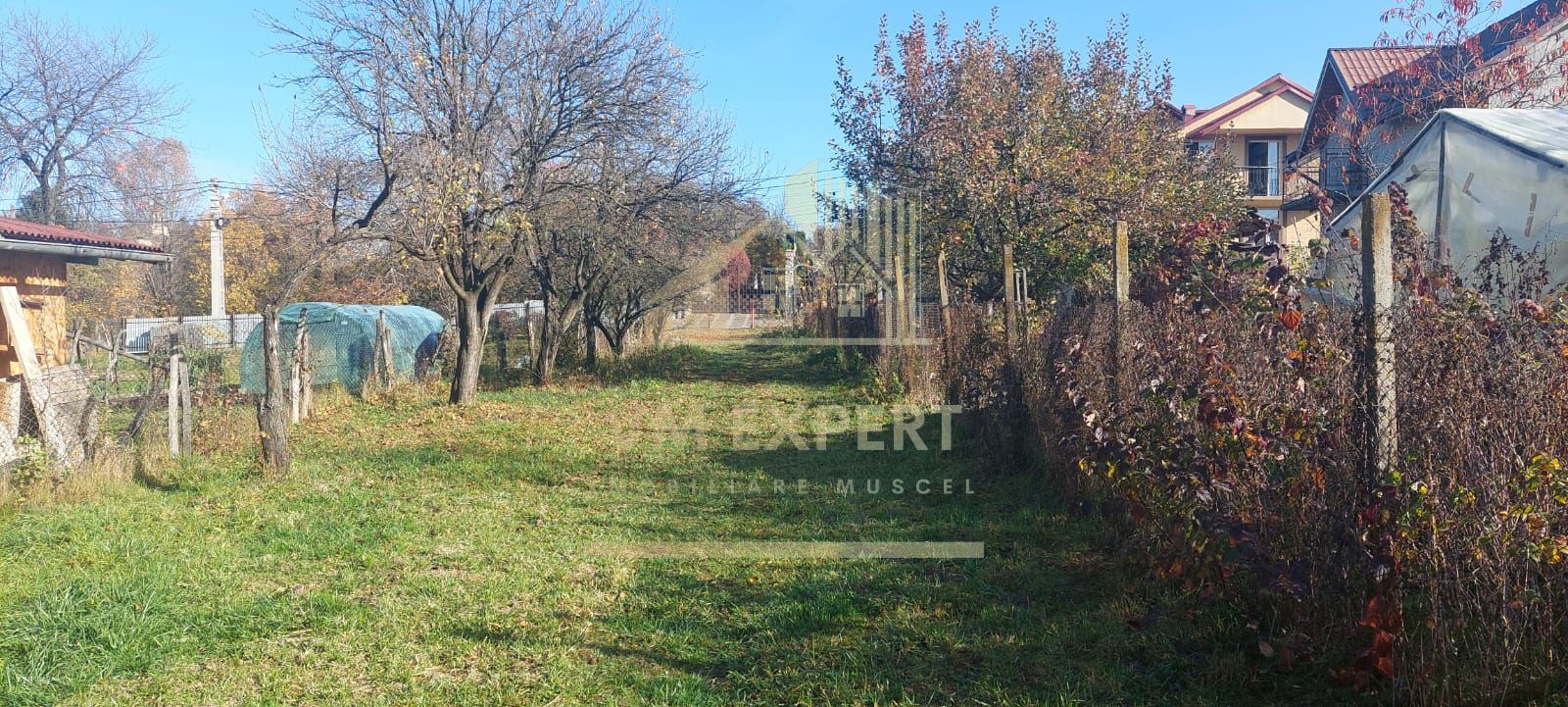 TEREN INTRAVILAN 3000 MP, CAMPULUNG - Poză 3