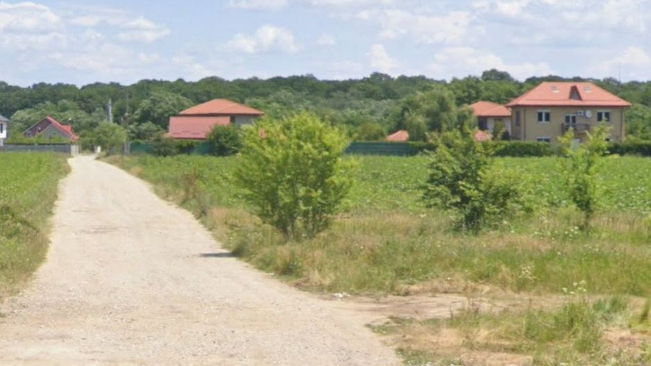 Teren Snagov Ciofliceni cu  pădurea la vedere - Poză 2