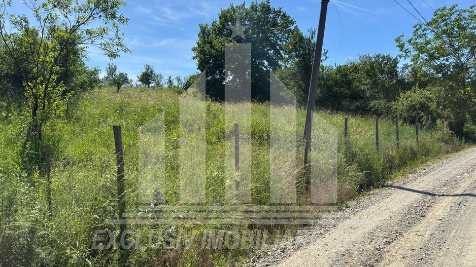 Teren intravilan | 1654 mp | 21 ml deschidere | Seigau - Poză 2