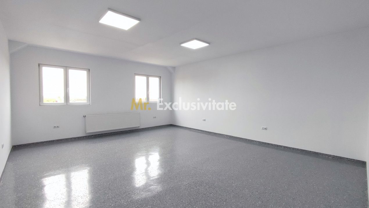 Inchiriere Spații de Birouri/Producție - Str. Uzinei - Carei - Comision 0% - Poză 14
