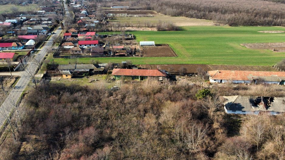 Ferma si livada de meri in judetul Ilfov - Poză 24