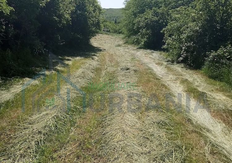 Teren intravilan 11.000 mp și casă 200 mp – Târgu Frumos - Poză 5