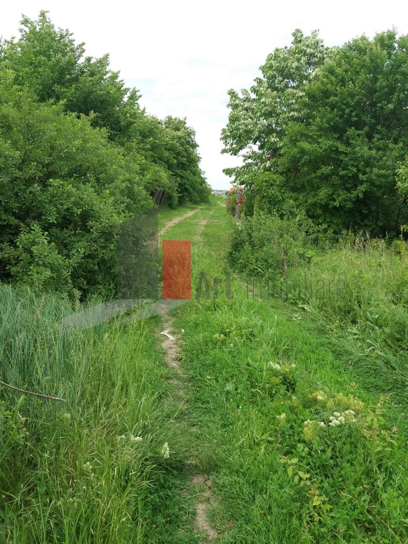 Teren Buftea cu iesire la lac - Poză 30