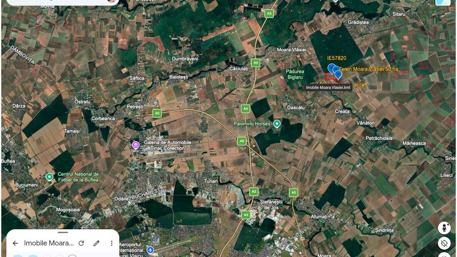 Teren intravilan 50,5 ha – Moara Vlăsiei - Poză 9