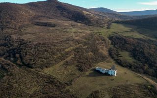 Castel cu vedere panoramică pe dealul Șiriei - Poză 12