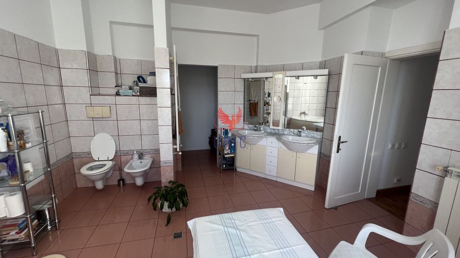 Vila Brazda lui Novac zona Paltinis - Poză 17