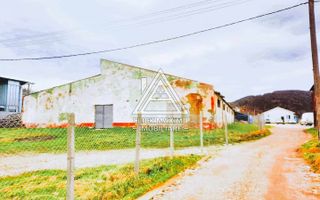 770 mp HALA TIP AVICOLA si 1390 mp TEREN INTRAVILAN, BECLEAN-BISTRITA - Poză 4