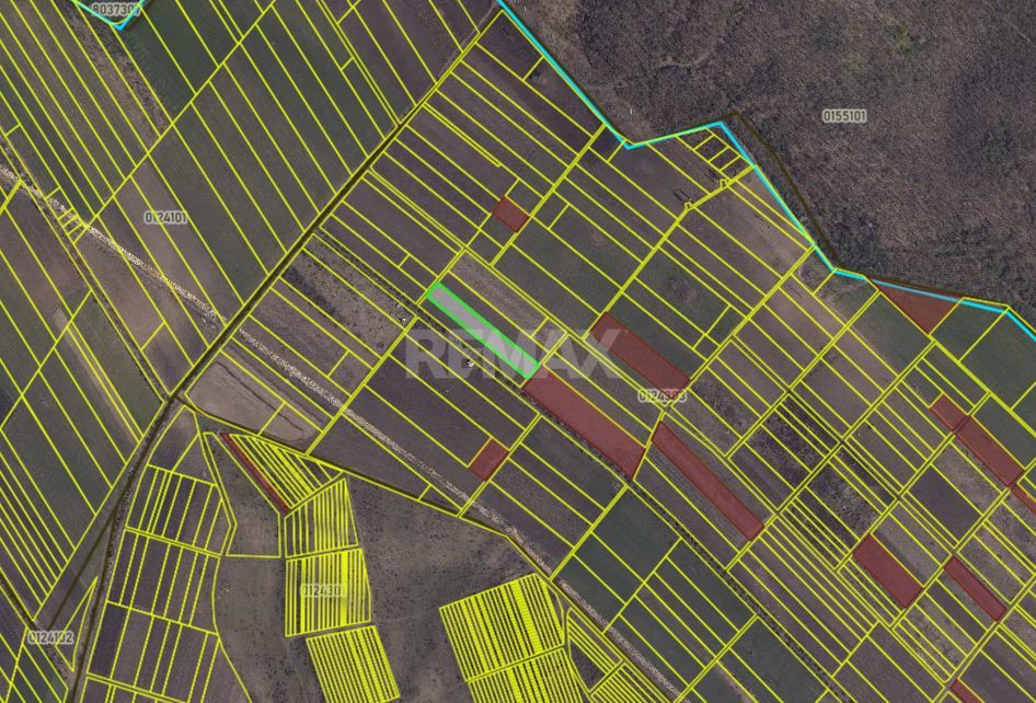 Teren agricol de 40 ari în Ghidighici – oportunitate pentru investiție sau activitate agricolă - Poză 7