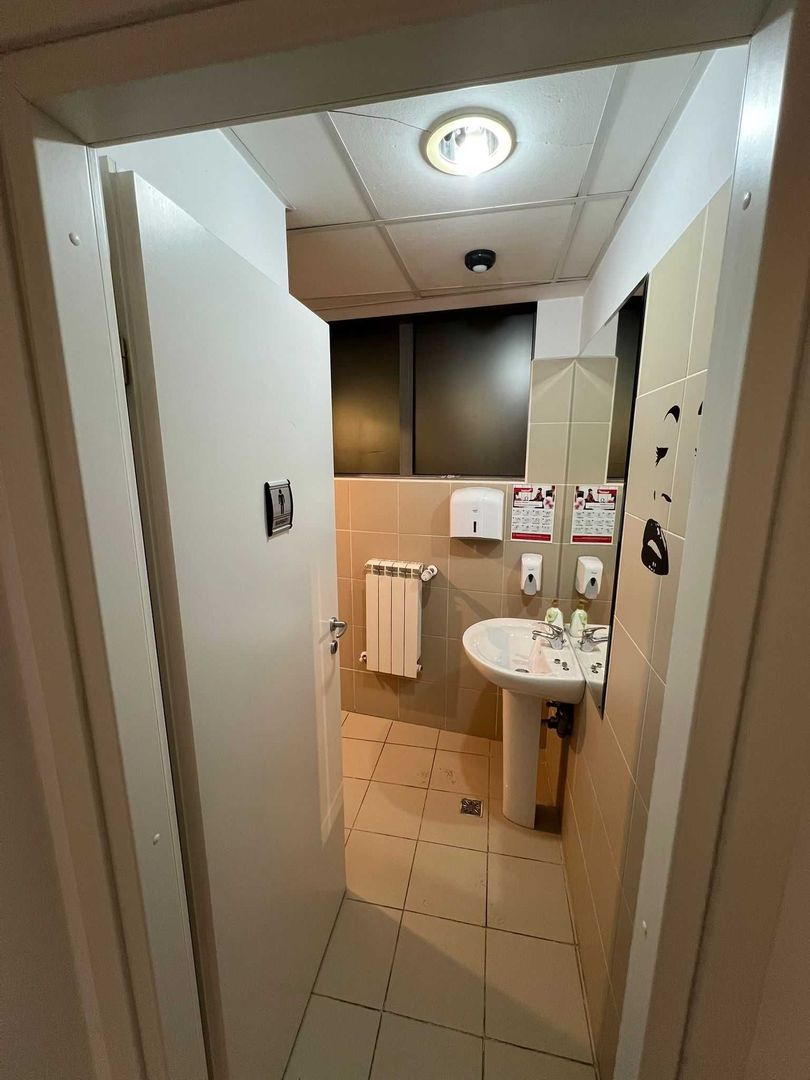 220 m2- studio dans de închiriat Sector 4, București - Poză 3