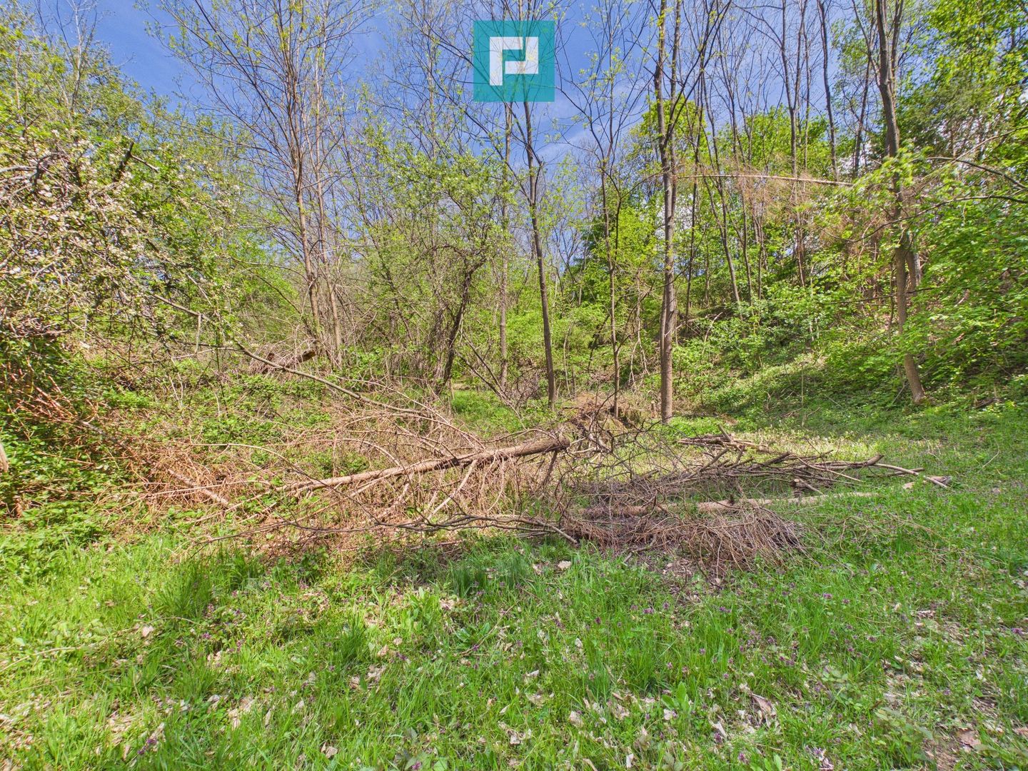 Proprietate rară cu 24.270 mp, în Măgulicea, Arad! - Poză 32