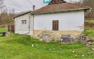 Casă cu teren de 24.679,73 mp, în Hălmagiu, Arad - Poză 7