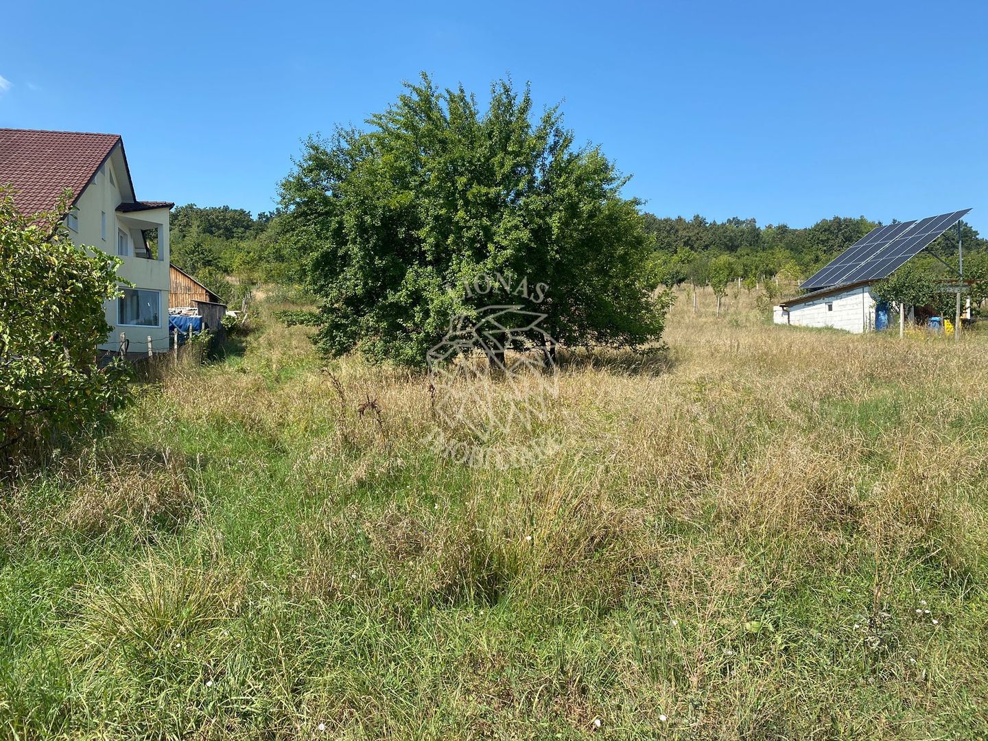 Teren intravilan 1300 mp-parcelabil-Viile cu Pomi-Unirea-Exclusiv - Poză 6
