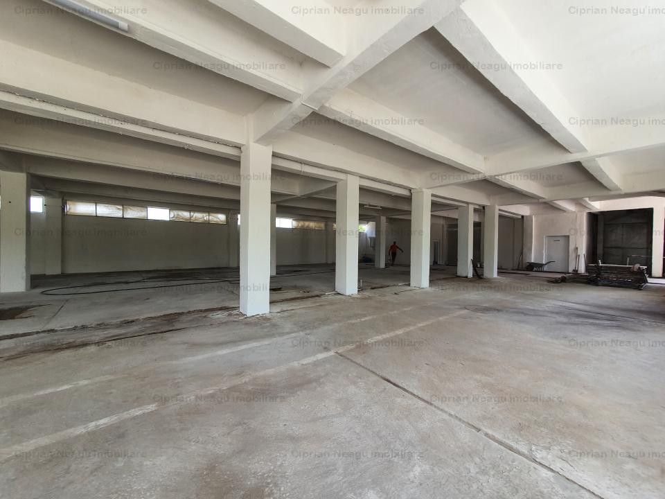 Hala Depozitare de Inchiriat Pitesti - Poză 7