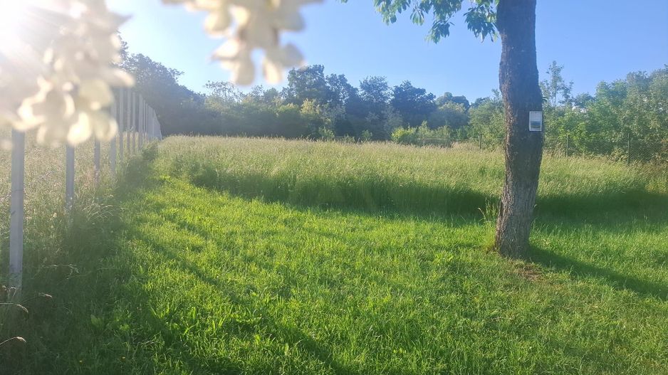 Teren intravilan 809 mp cu deschidere 14 m în Tropinii Noi - Poză 18