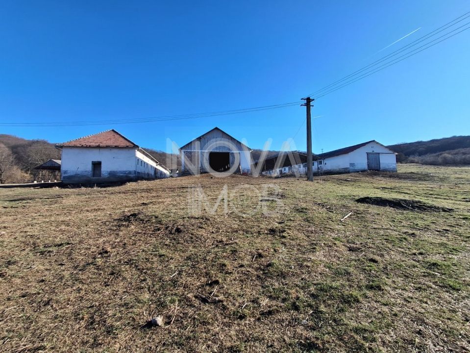 Ferma complet echipata de vanzare – zona Agnita, judetul Sibiu - Poză 4