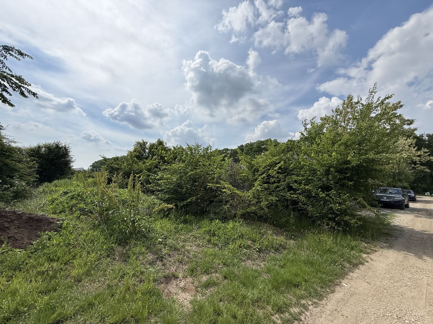 Teren intravilan 498,02 mp langa pădure , strada privata Corbeanca - Poză 5