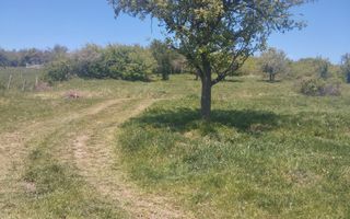 Teren 4400 mp -Parcelabil - panoramic - Sarata - Poză 1