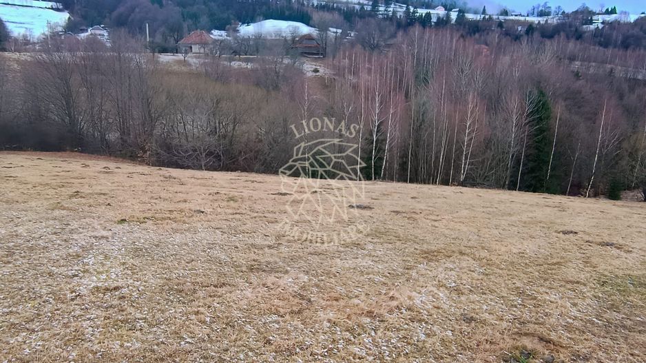 COMISION 0 TEREN TURISTIC EXTRAVILAN APROAPE DE PADURE VISAGU VLADEASA CLUJ - Poză 5