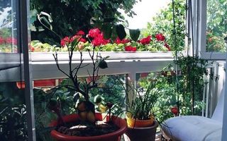 Apartament 3 camere Aparatorii Patriei S271 - Poză 10