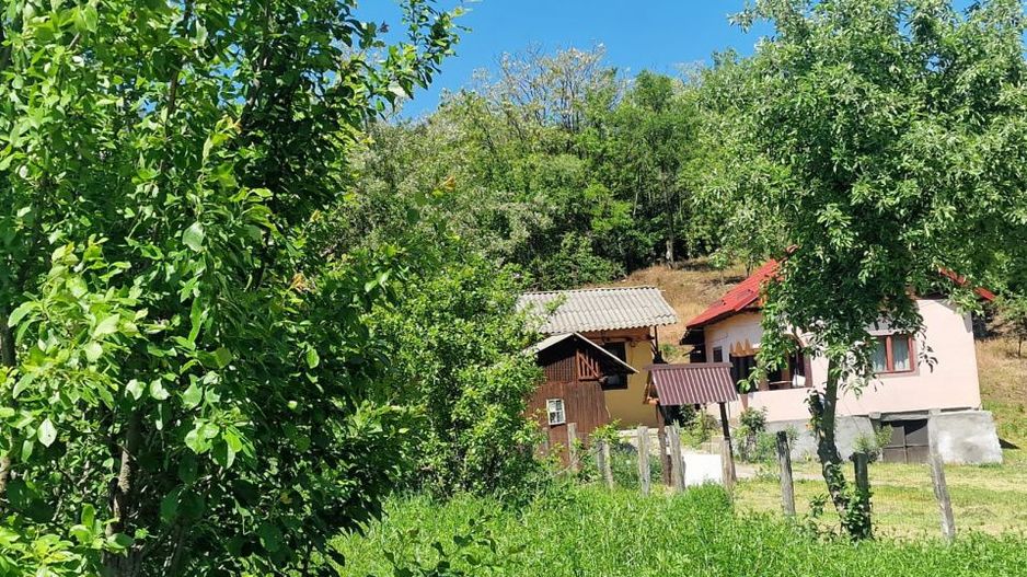  Proprietate în Comuna Botești, Județul Argeș – Zonă Pitorească și Liniștită ! - Poză 3