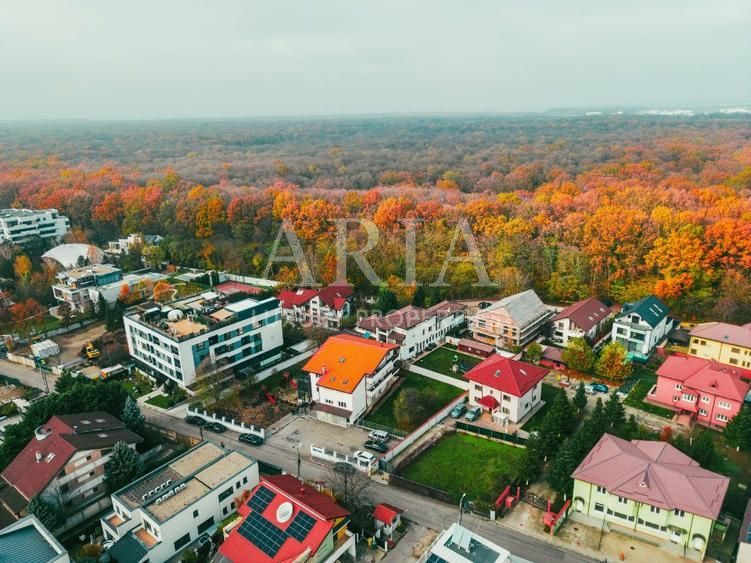 Vila si teren aferent de vanzare in Voluntari Pipera liziera pădurii- 1775 mp - Poză 4