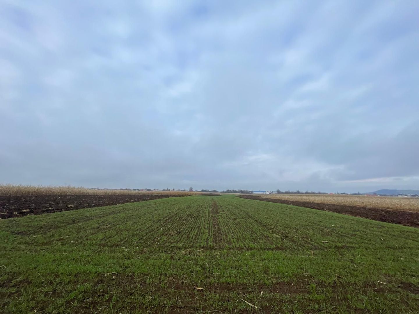 TEREN EXTRAVILAN 13 ARI | FRONT STRADAL 13 M | MARGINEA - Poză 5