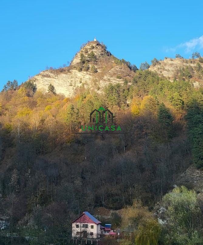 Brezoi Residence - Poză 10