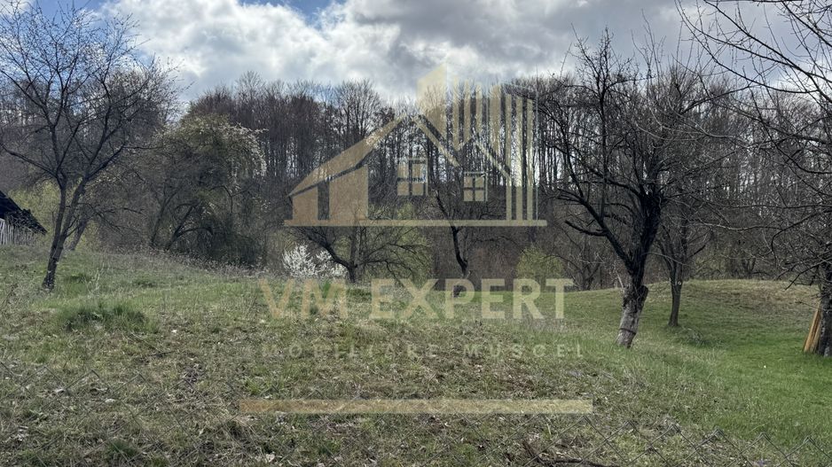 TEREN INTRAVILAN 4365 MP POENARII DE MUȘCEL  JUDEȚUL ARGES - Poză 25