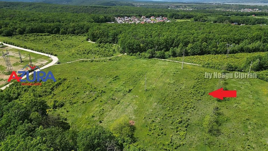 Vanzare teren Balotesti, la padure - Poză 6