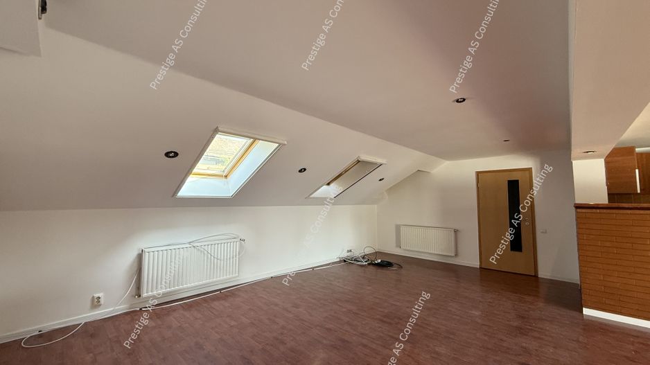 Proprietate versatila | 271 mp utili | renovata complet – Elisabetin, Porumbescu - Poză 14