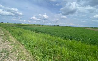 Teren Burla | Strada Principala | 78 ARI - Poză 3