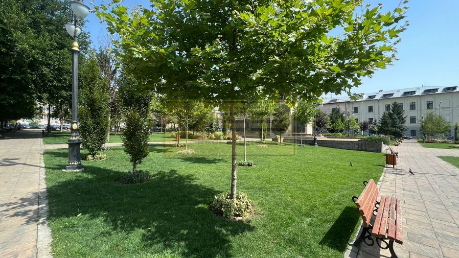 Spatiu de birou/comercial Bd. Independentei - Spiridon - Poză 13